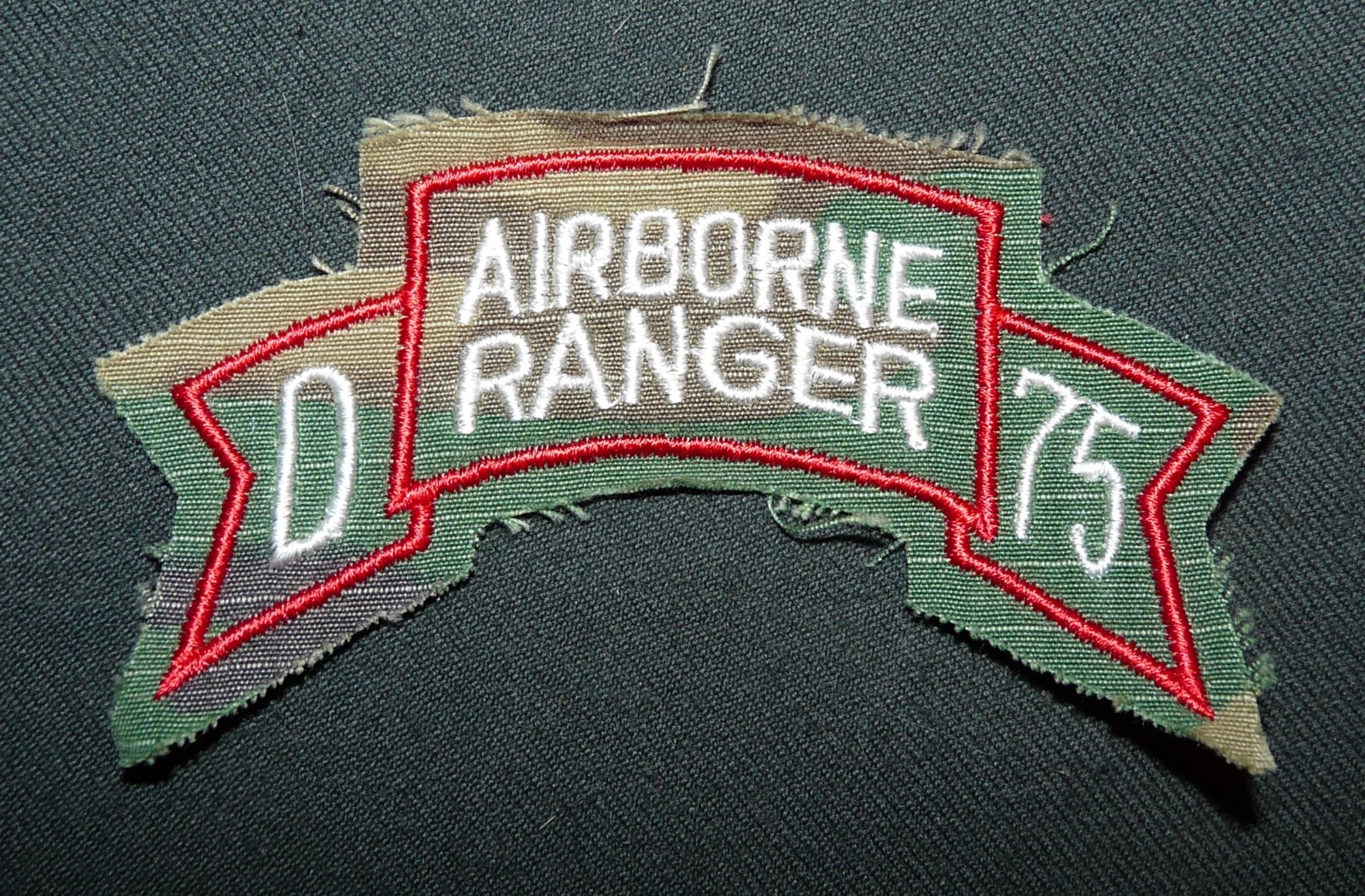 Vietnam War D Company 75th Infantry US Army Airborne Ranger Scroll Camo REPRO