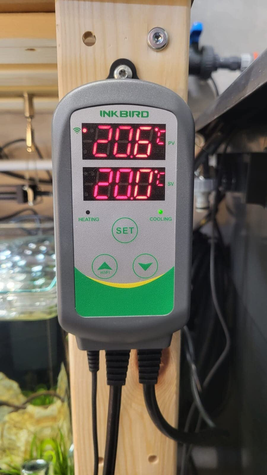 Inkbird Digital Temperature Controller WIFI 308 Programmable Thermostat Switch