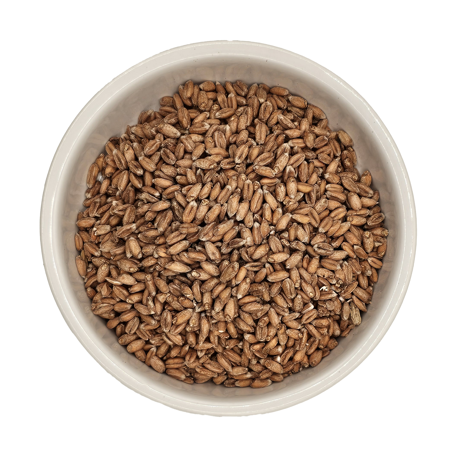 Home Brew Ohio Spelt Grain 5lb