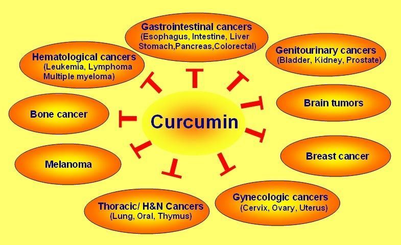 Curcumin Extract 95% + Piperine Extract 100g - High Quality Organic Extract