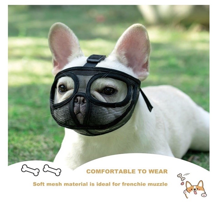 Dog Short Snout Licking (S/Black) New