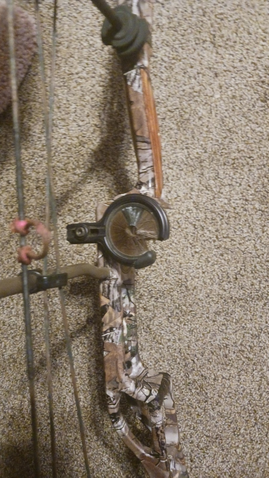 elite compound bow right hand