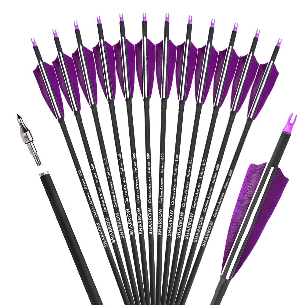 ZSHJGJR 30 Inch Archery Carbon Arrows Hunting 12pcs arrows, Purple