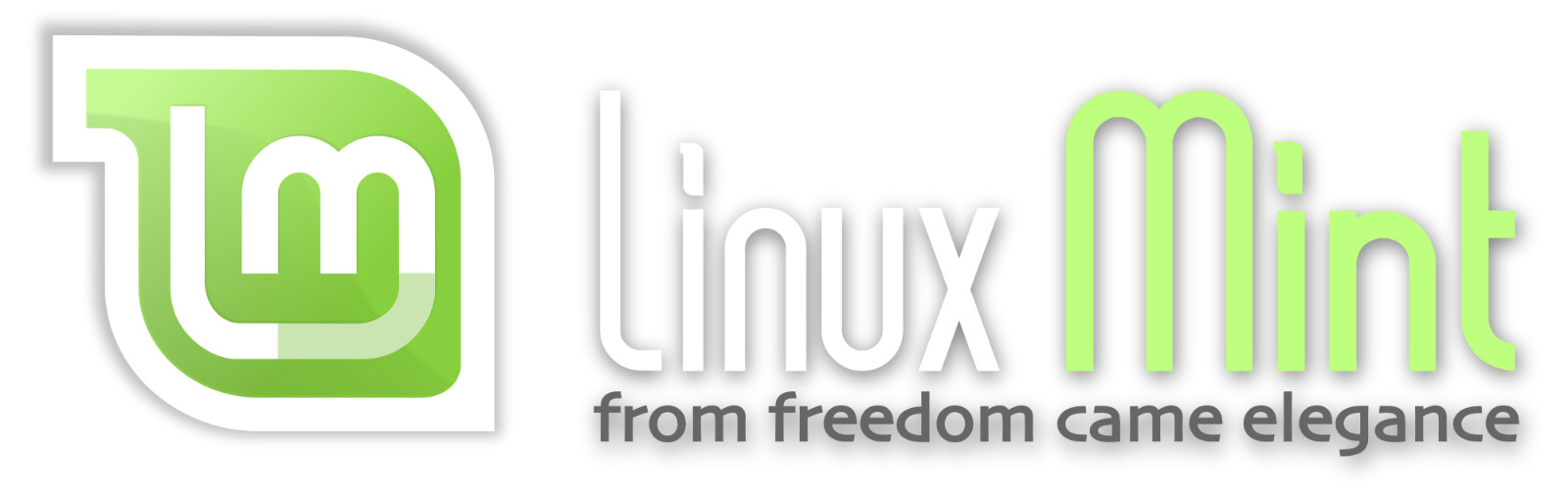 Linux Mint 22.3 HWE Install/Live - Hardware Enablement - DVD or USB Flash Drive