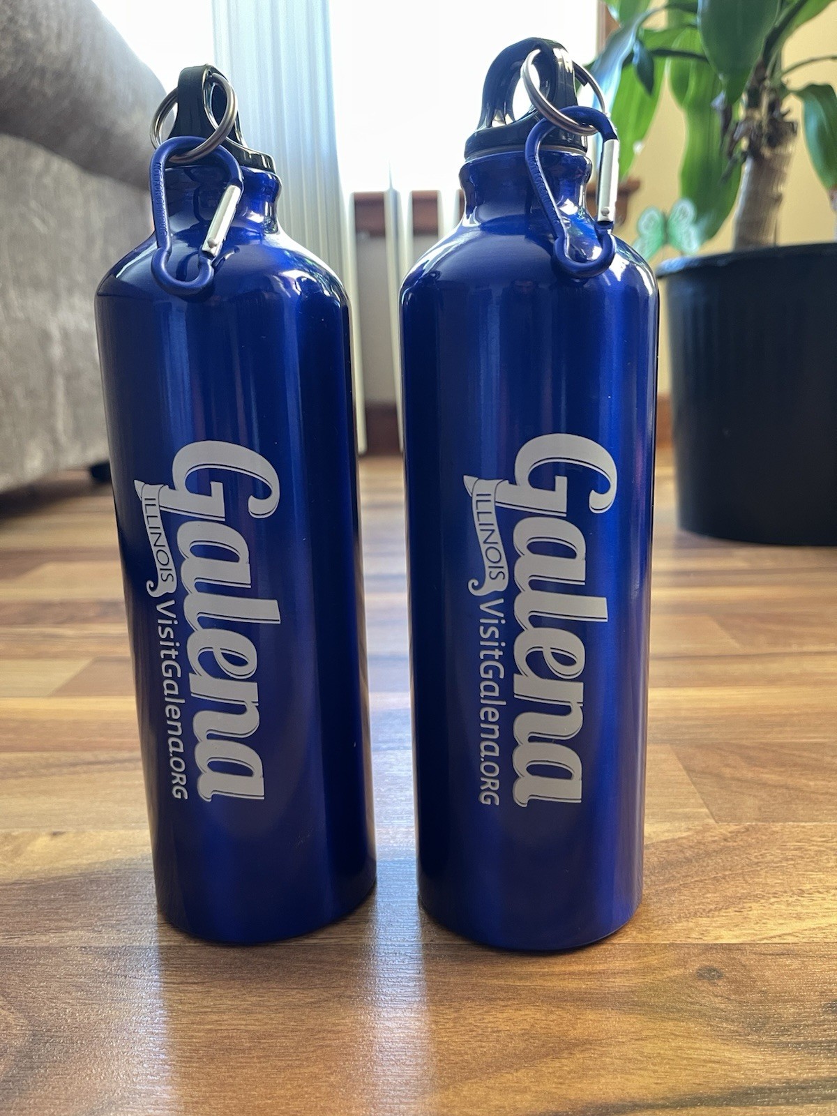 Polyconcept Aluminum Water Bottles 24oz With Clip - Galena Illinois NEW Bundle