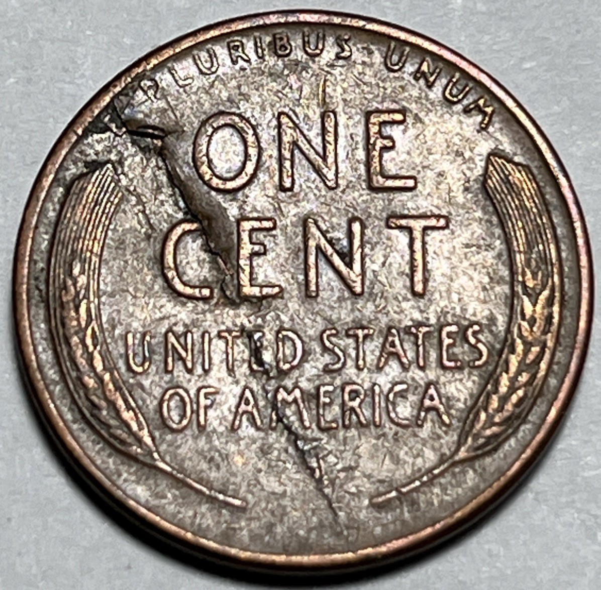 1958 D Wheat Penny Errors Long Lamination Error Reverse
