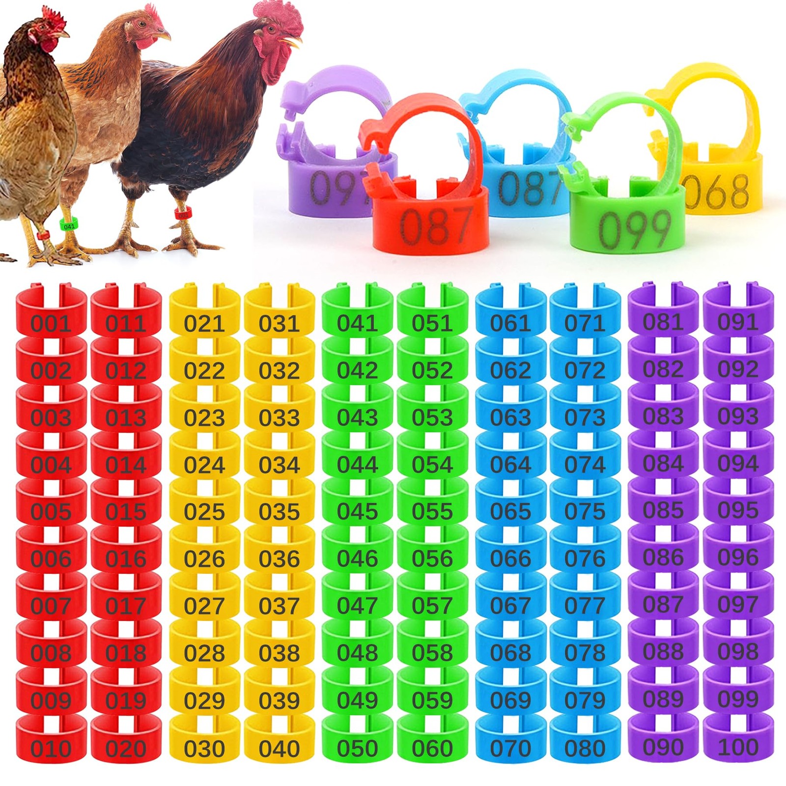 Chicken Leg BandsAssortedfor Chicks Turkeys Ducks Geese Birds Poultry Management