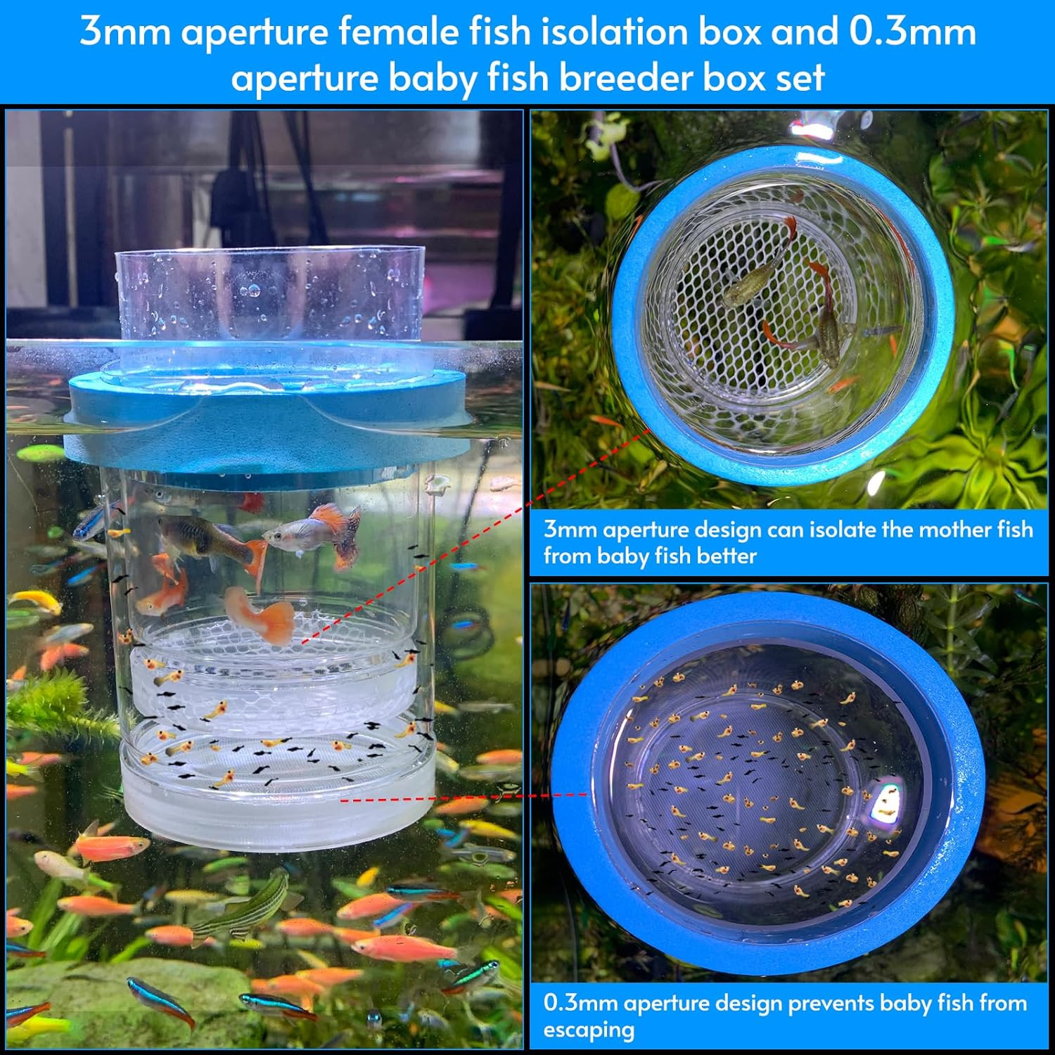 middlefloatingbreederbox Breeder Box for Fish Tank Isolation Aquarium Separator