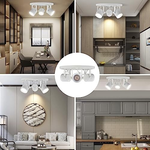 27W 3000K 3 Light LED Flush Mount Ceiling Not Replaceable Bulb-3 light