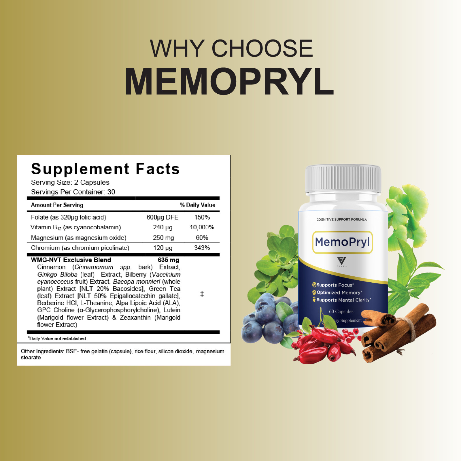 (2 Pack) Memopryl Nootropic Capsules, Memo Pryl Advanced Formula (120 Capsules)