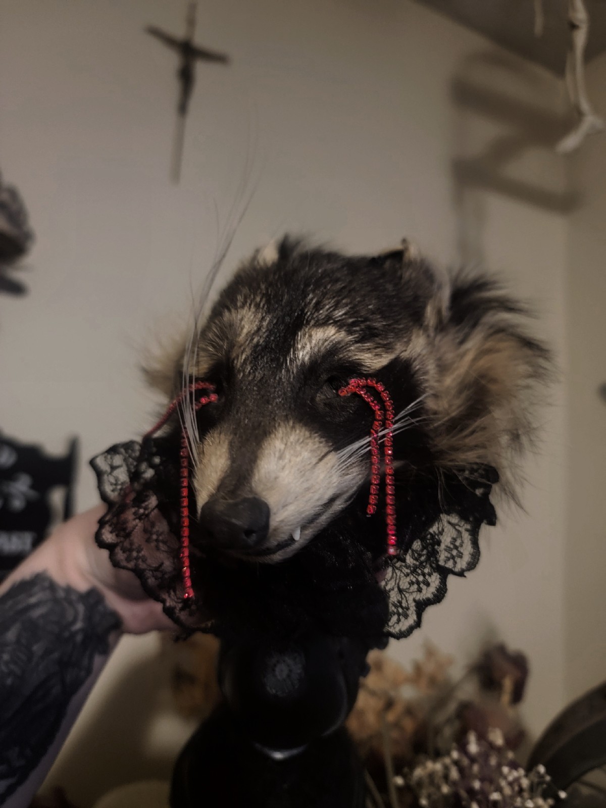 Gothic Mummified Raccoon Head