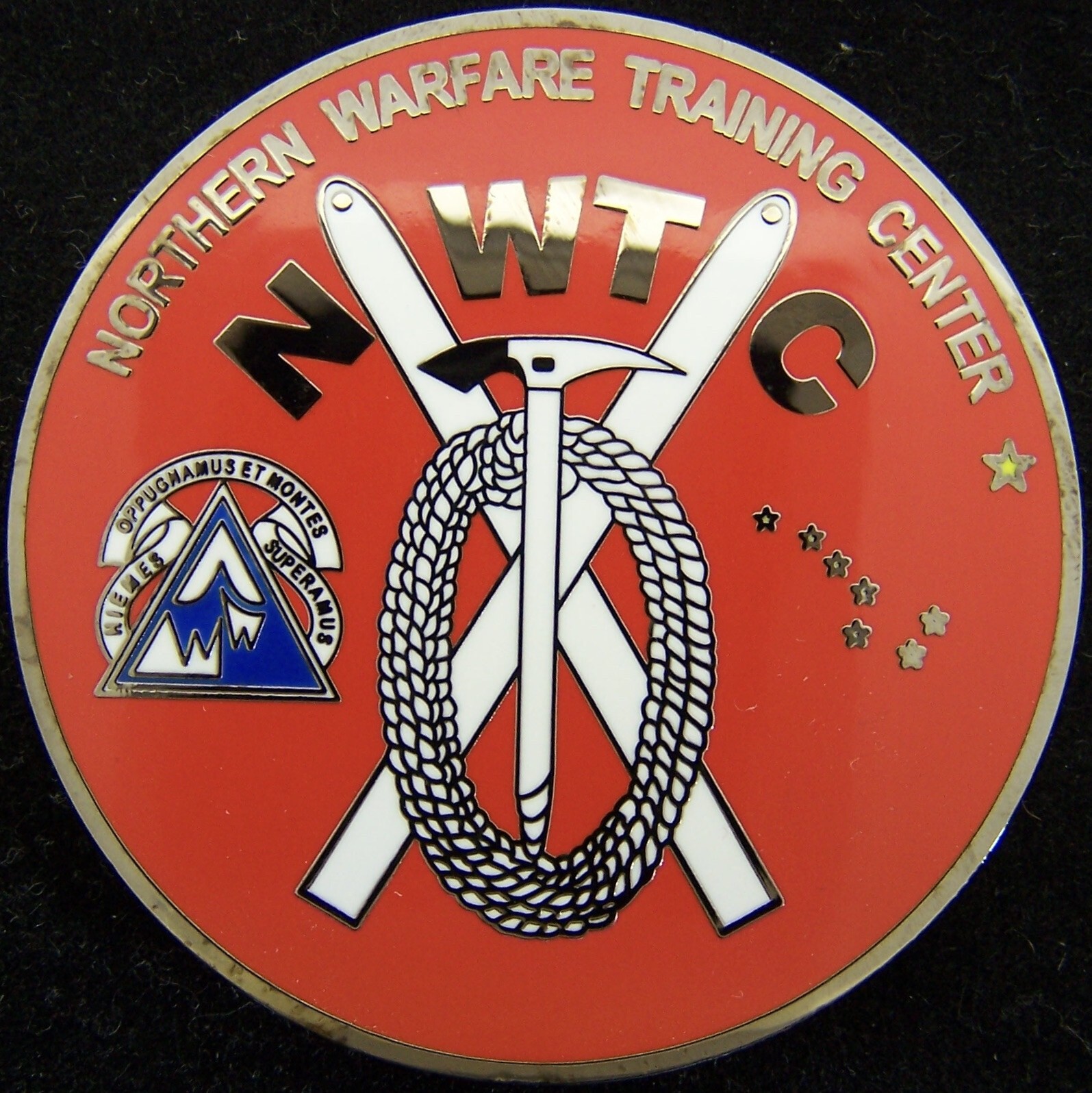Northern Warfare Training Center NWTC Black Rapids Alaska Challenge Coin