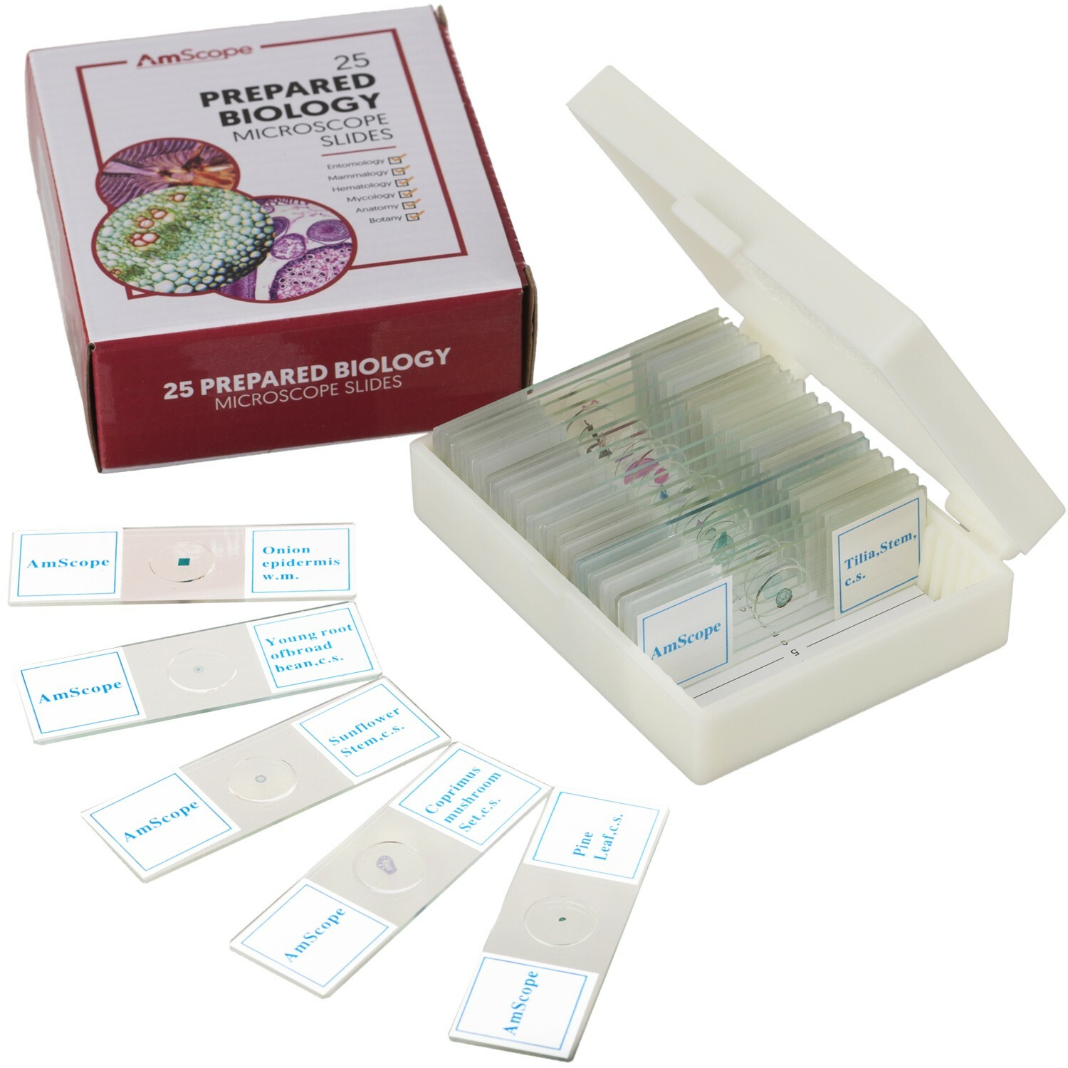 AmScope 25 Glass Prepared Zoological & Botanical Microscope Slides w Plastic Box