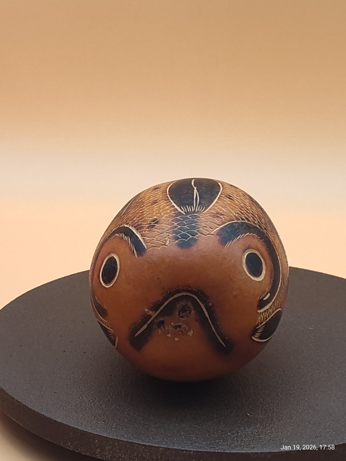 Peruvian Gourd Folk Art Fish Pyrography & Hand Carved Features Rattle 6"x4"