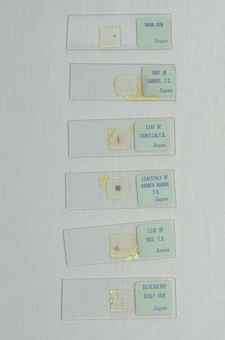 Sears Slide Making Kit 49-24186
