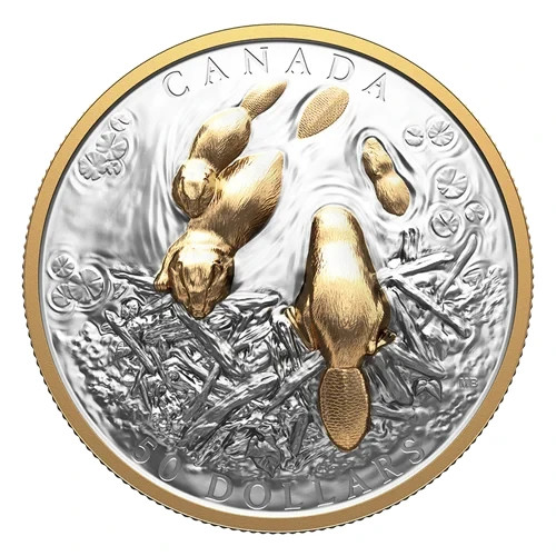 2025 $50 Canadian Symbol: The Beaver - 3.25 Ounce Fine Silver Coin