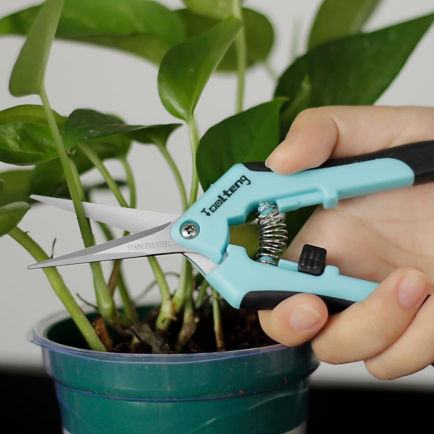 2 Pack- Bud Trimming Scissors STAINLESS Titanium Coated PRUNING TRIMMING HARVEST