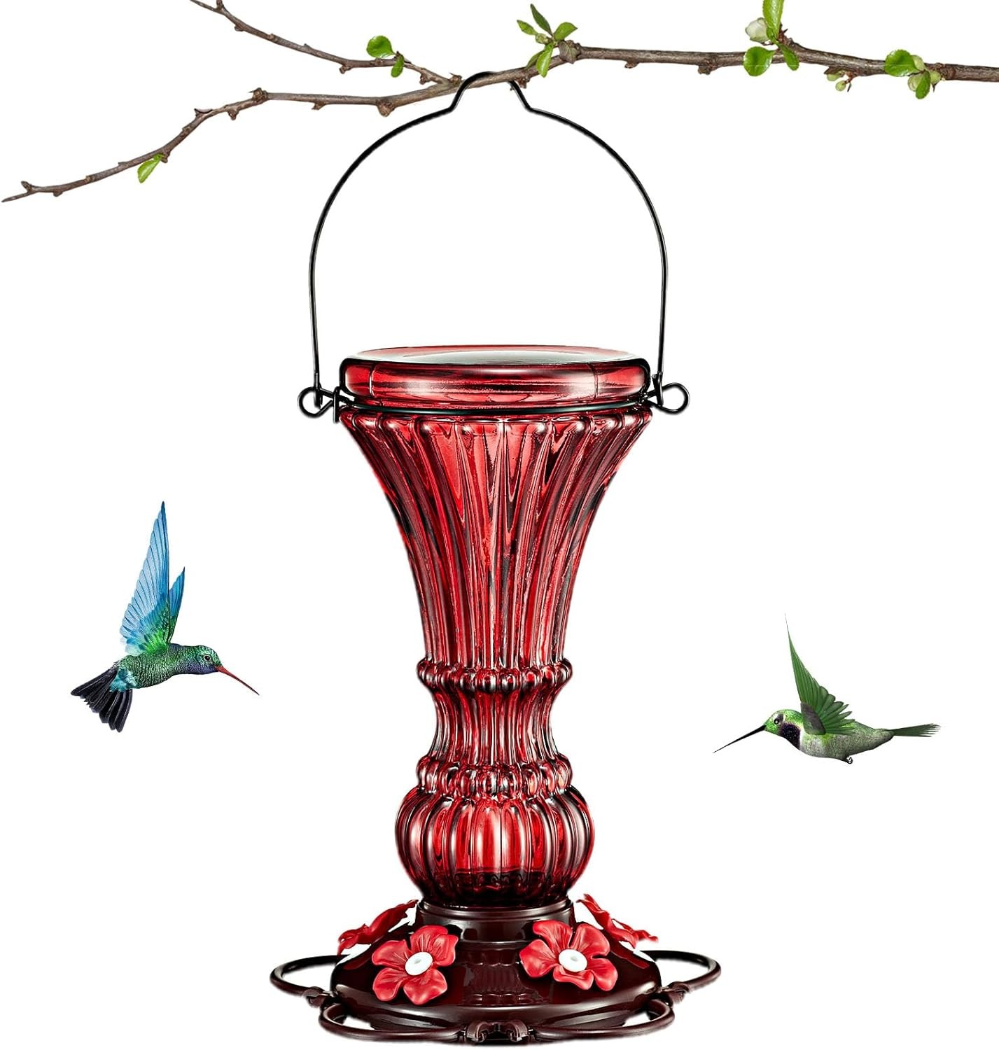Glass Hummingbird Feeders for Outdoors Hanging Red Humming Bird Nectar
