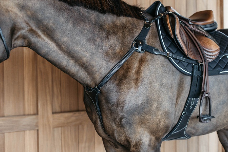 Dion Elastic Chest Harness (5-Point)