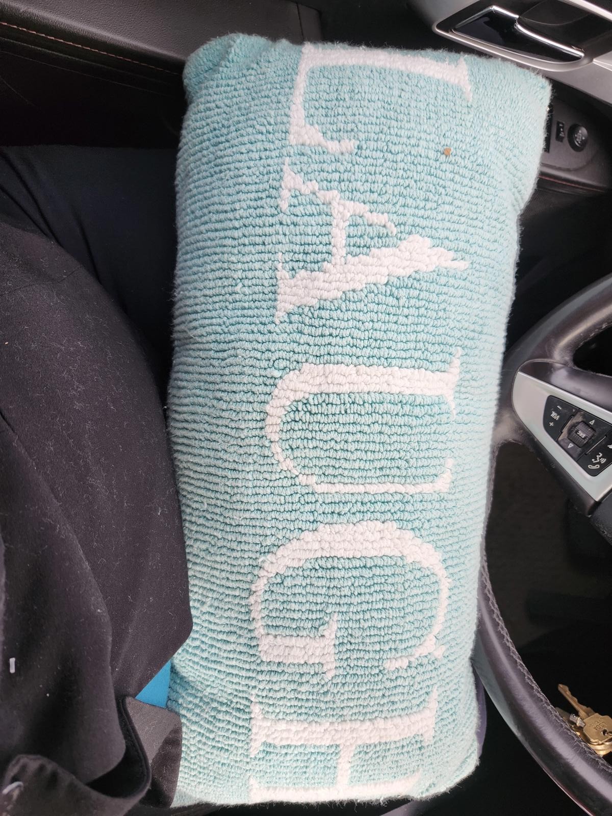 Laugh pillow