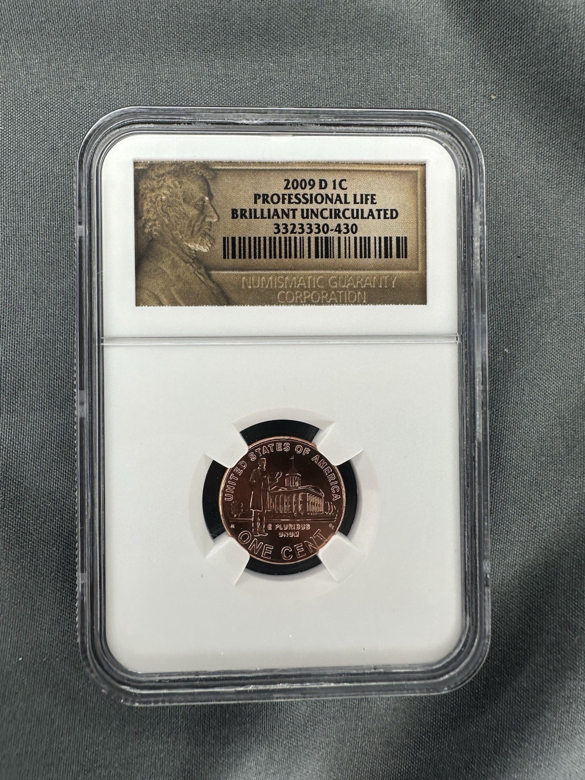 NGC 2009 D 1C Professional Life Penny, Brilliant Uncirculated