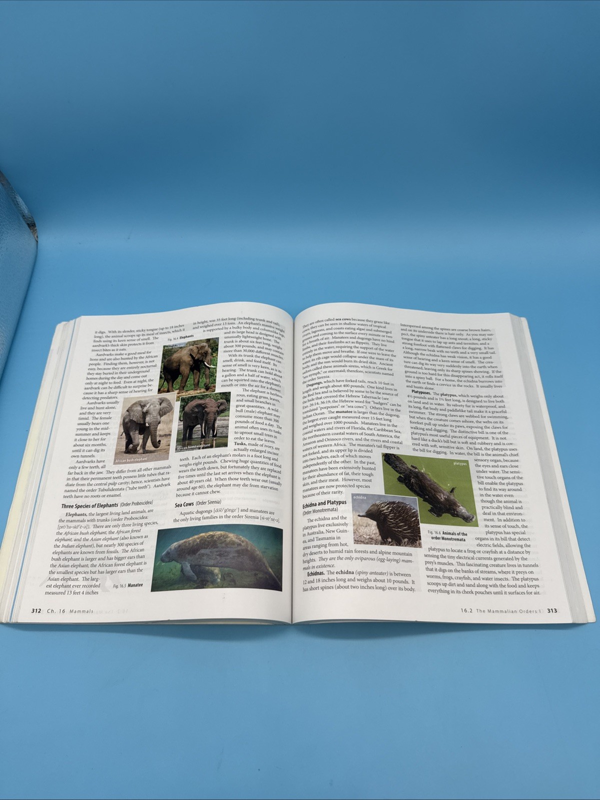 ABeka Biology Student Text (4th Edition) 10th Grade Science