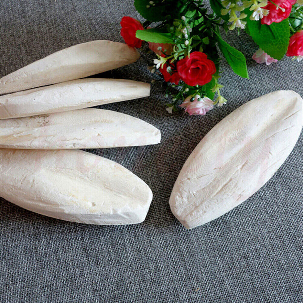 10-20Pc Cuttlebone for Birds Parrot Chewing Cuttle bone for Sharp Beaks 2.4-3.1"