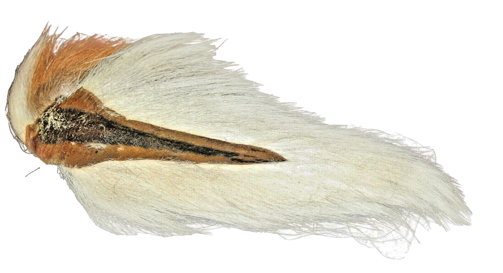 SupplyIt Large Northern Bucktail Natural White Fly Tying Material Deer Hair