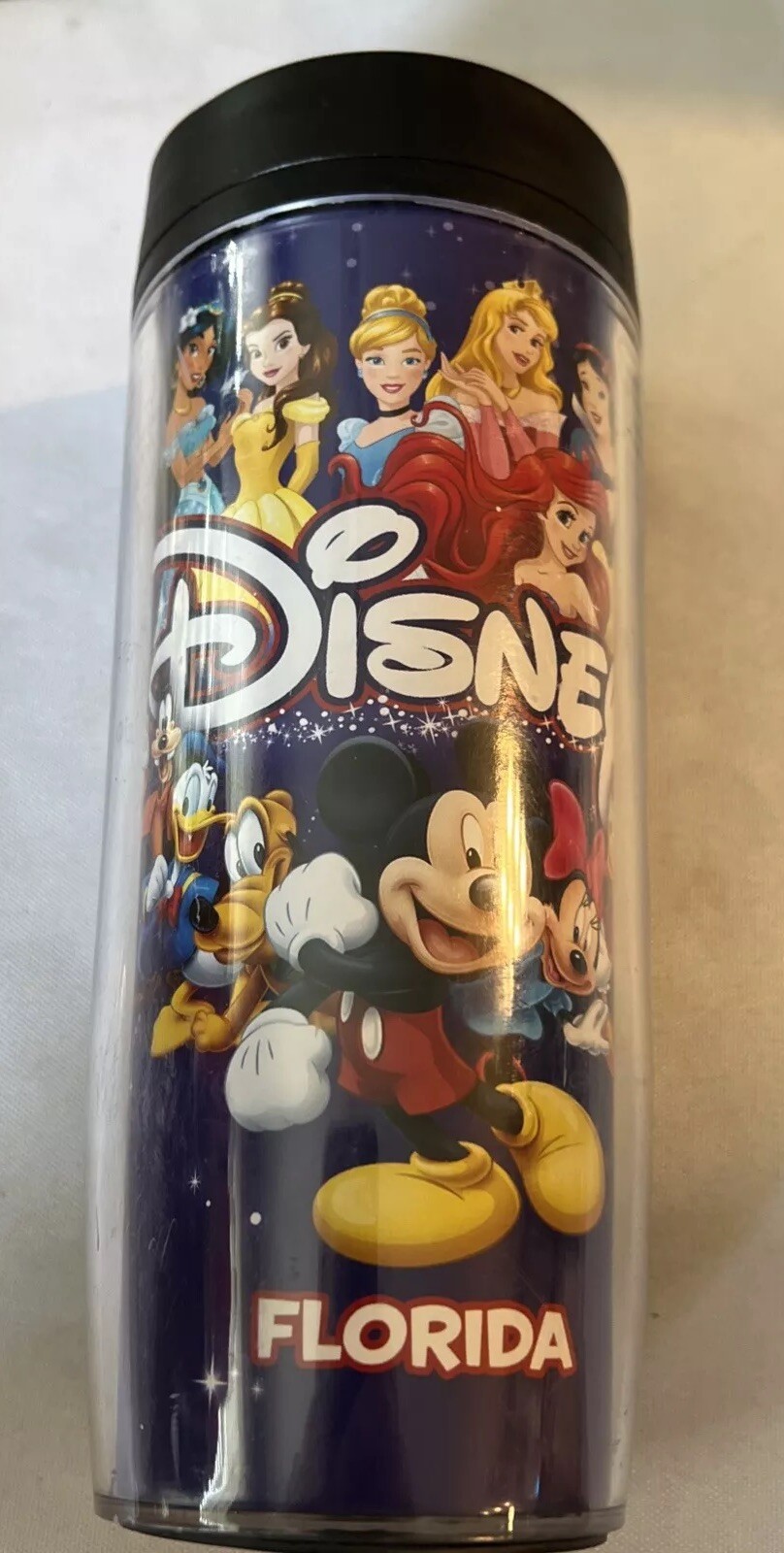 Mickey Mouse & Friends Disney Florida Insulated Travel Tumbler 18 Oz Used