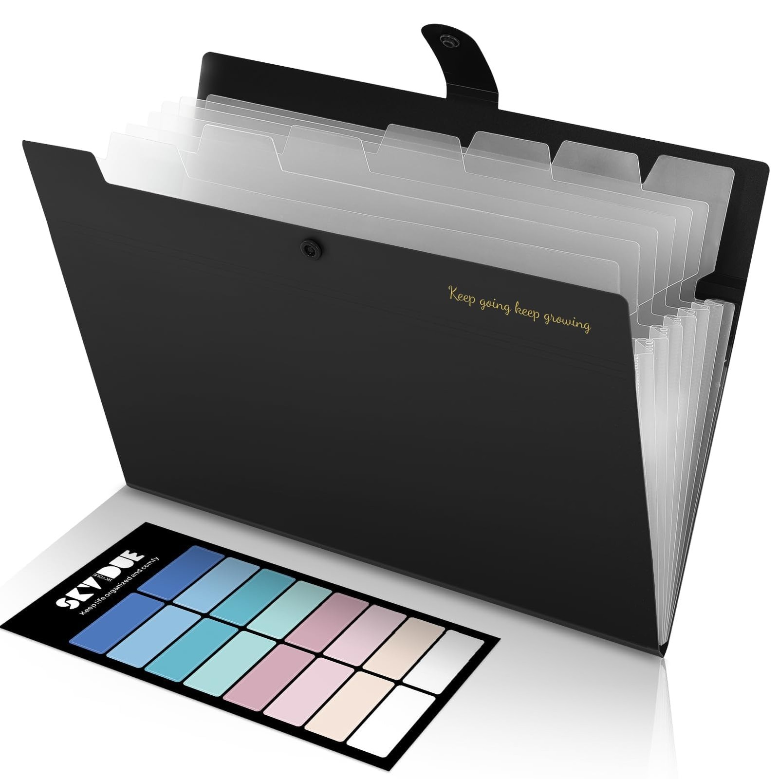 SKYDUE Accordion File Organizer, Expanding 12.8 x 9.8 inches, Black