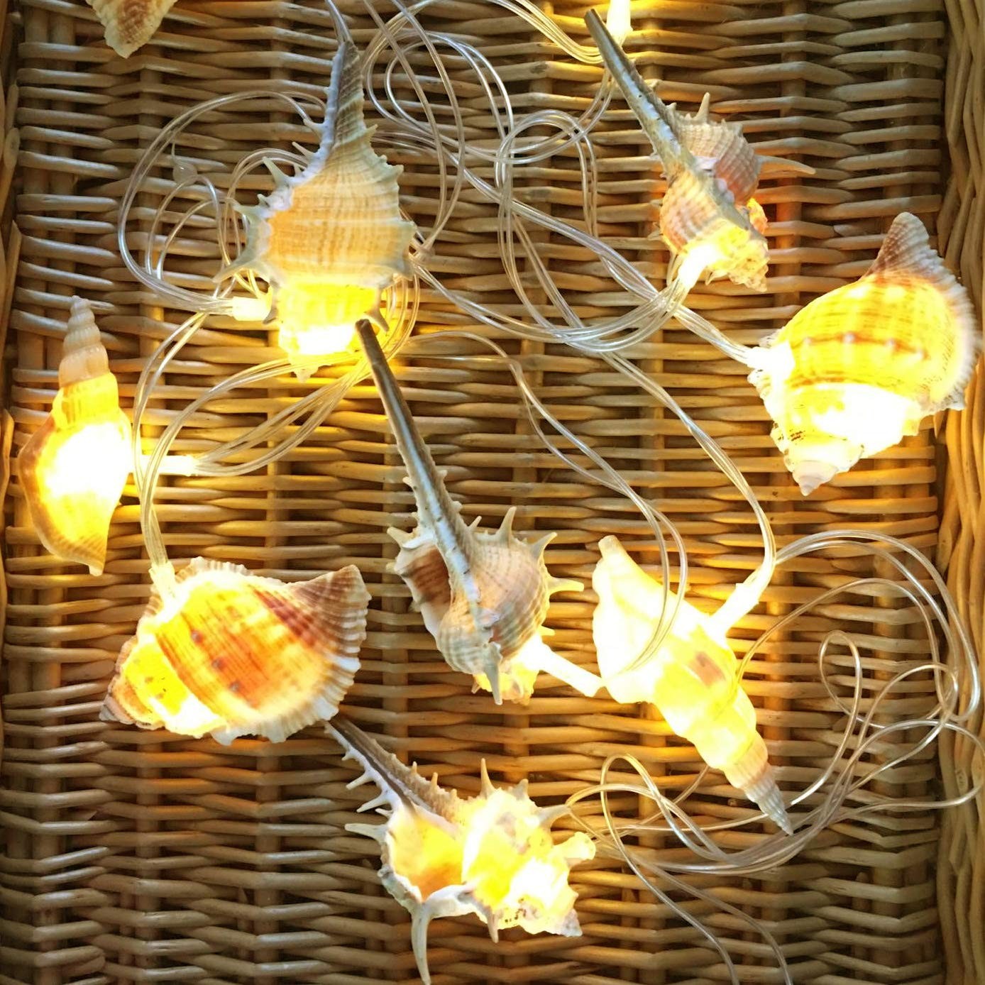 Natural Conch LED String Lights, 10 Ft 10 LED Battery Powered Waterproof Low ...