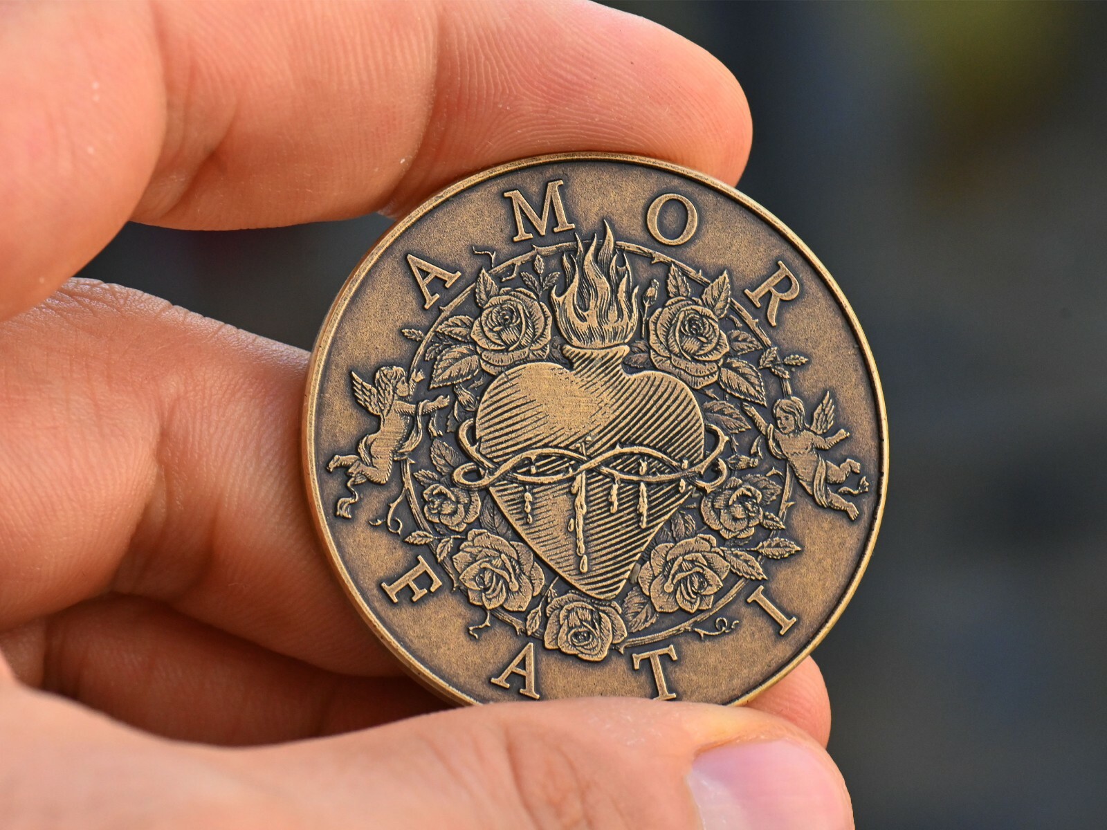 Amor Fati Coin | Daily Stoic Quote Medallion | EDC Reminder Challenge Coin