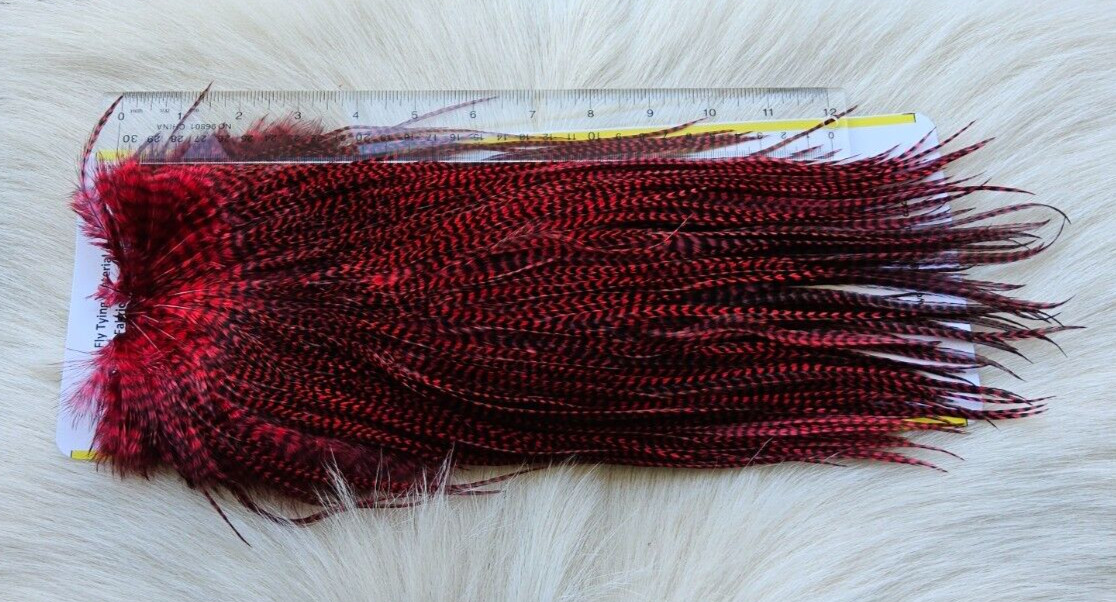 SLS;  Rooster Full Saddle,, Color; Red Grizzly .   Free Shipping.