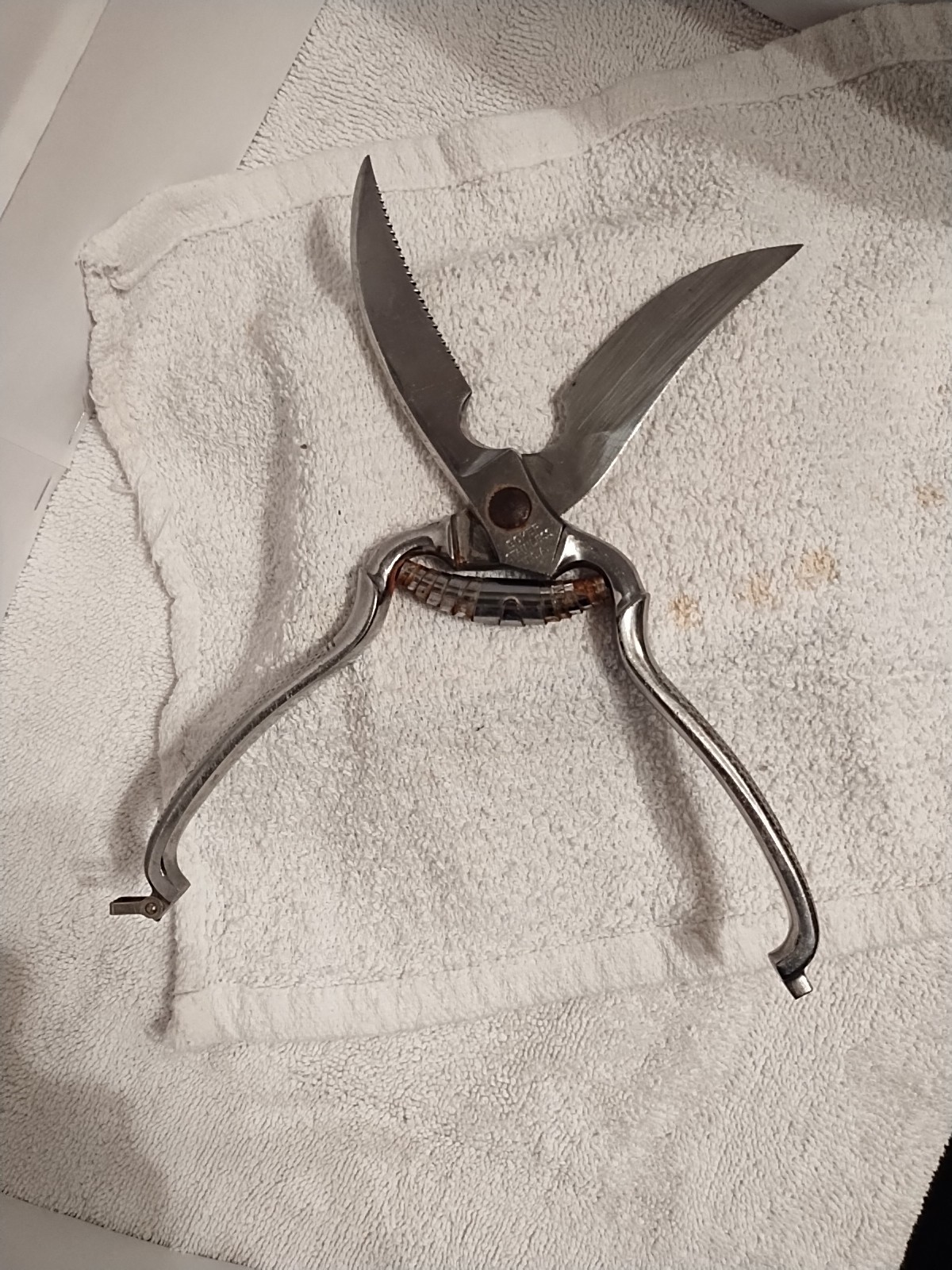 Poultry / Meat / Utility Shears