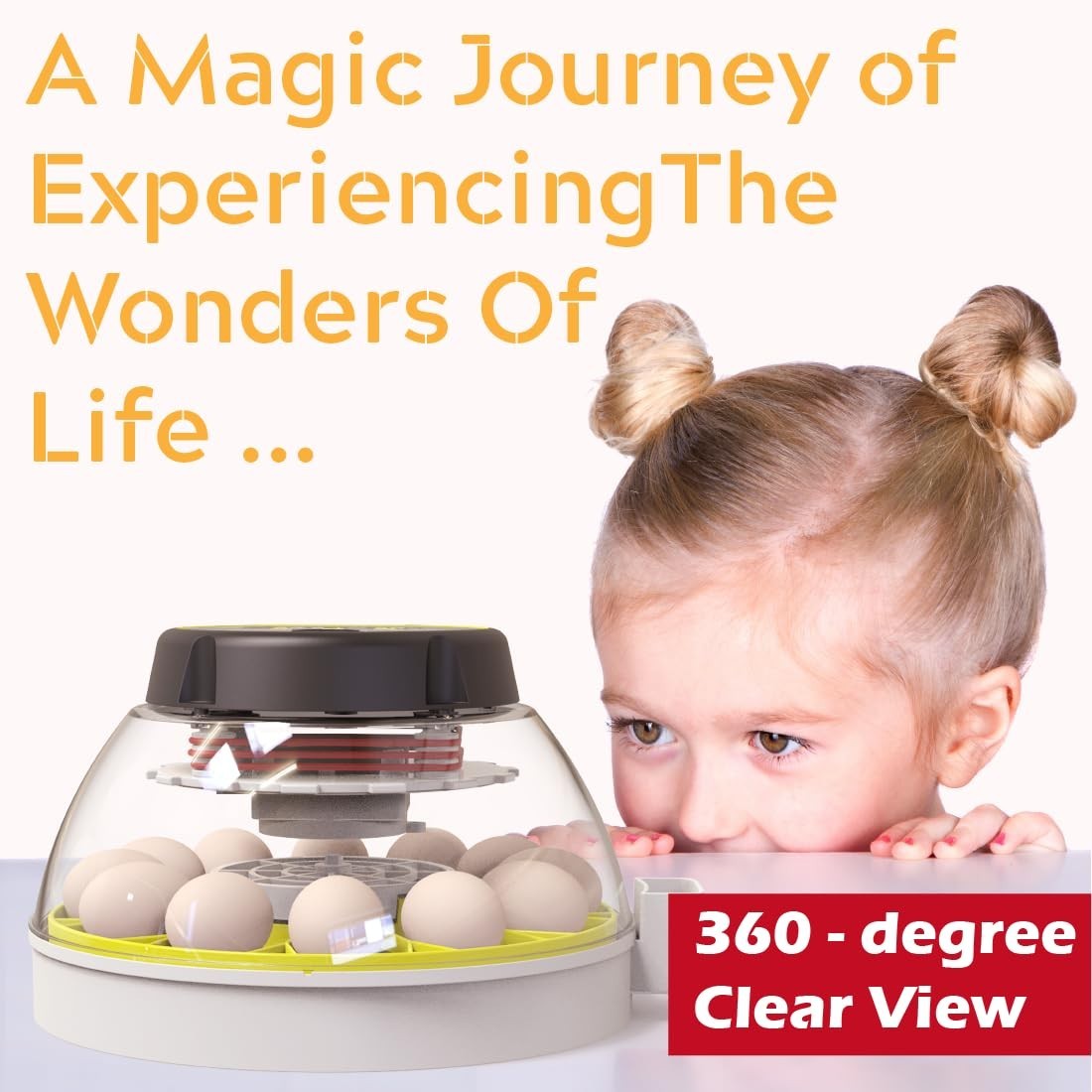 12 Egg Incubator with Humidity Display, Automatic Egg Turner, Built-in Egg Ca...