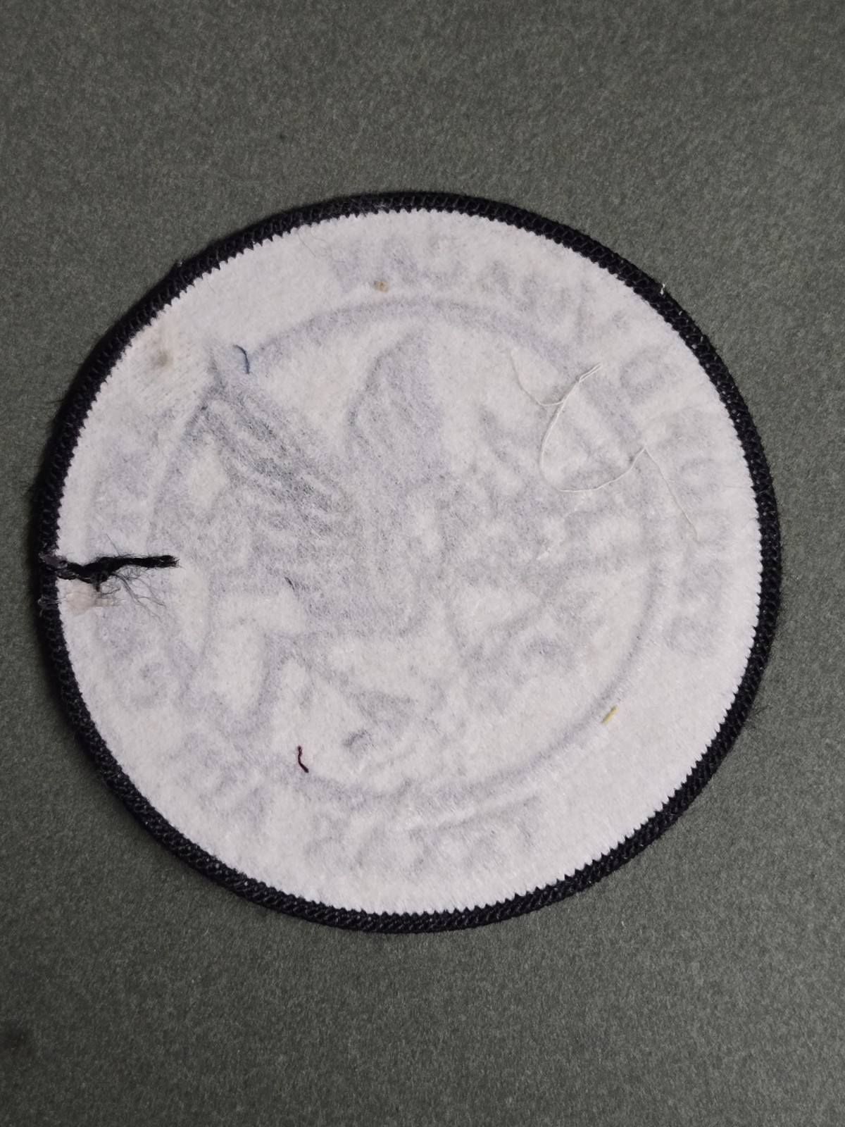"D" Troop 1st Battalion 124 Cavalry Regiment Subdued Patch (231)