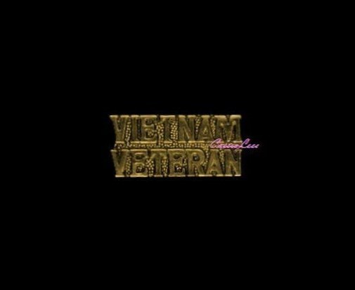 VN Veteran (script) + a custom promo pin
