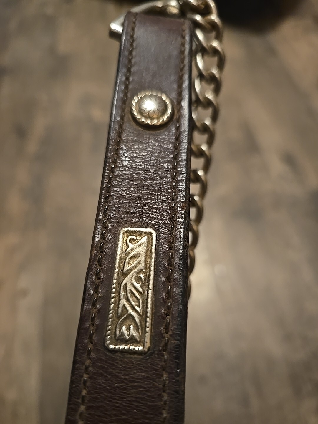 Cattle Show Halter Lead