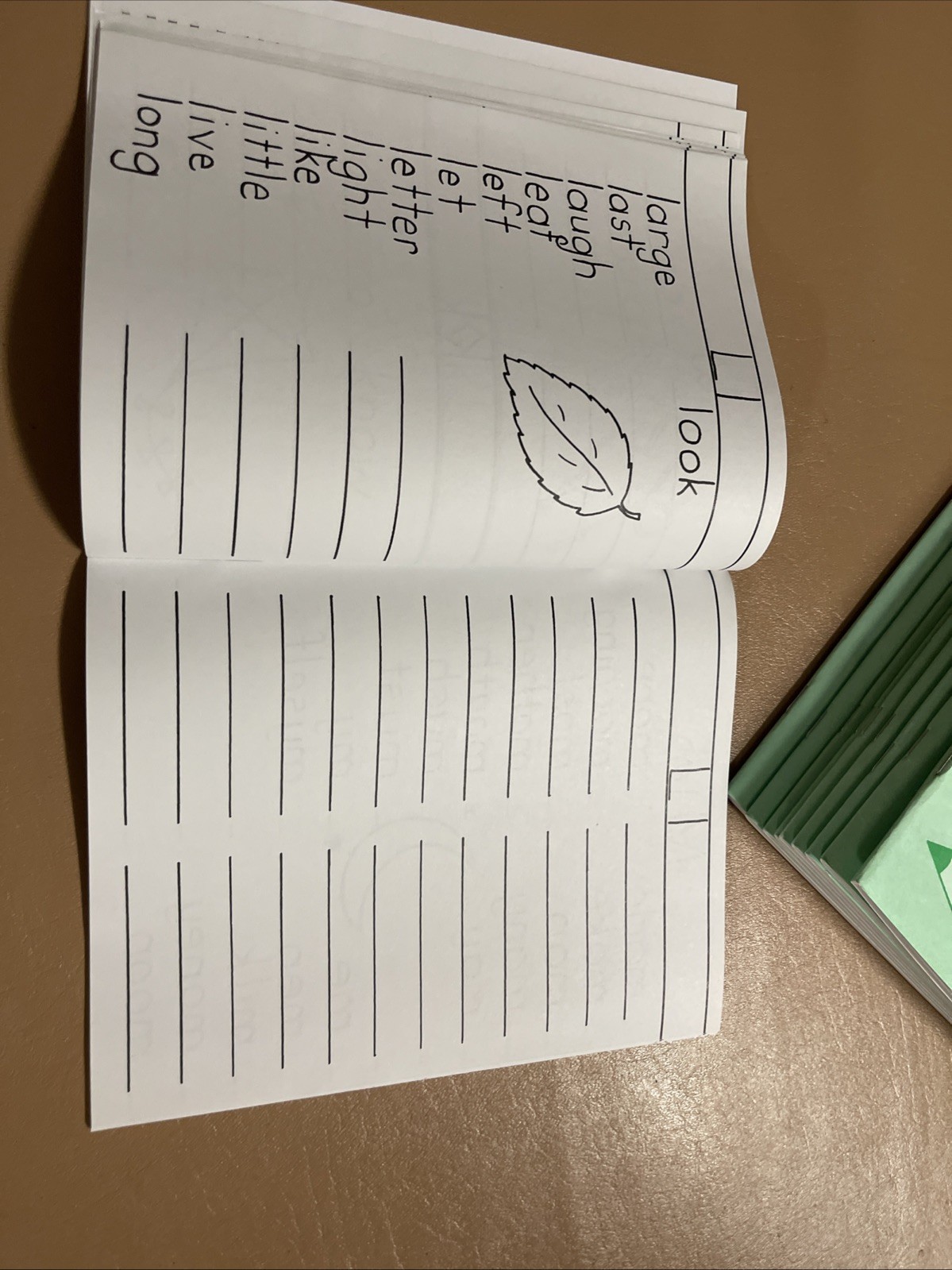 Words I Use When I Write Grd 1-2 by Eps: New