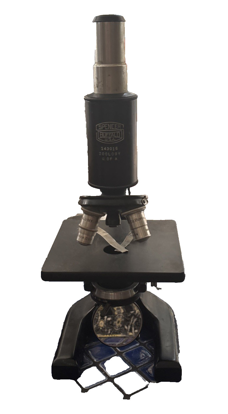 Vintage/Antique Spencer Buffalo USA Microscope 143015 Zoology University of Ariz