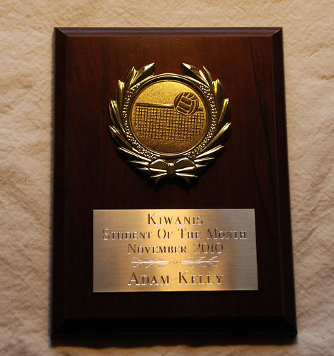 Volleyball, or any Other SPORT, Award Plaque 6x8 Trophy FREE engraving