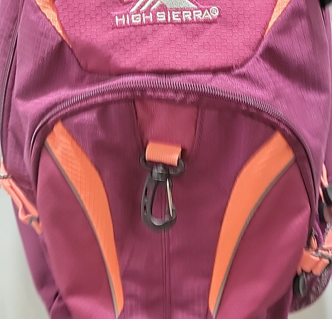 High Sierra Backpack with suspension strap system hot Pink