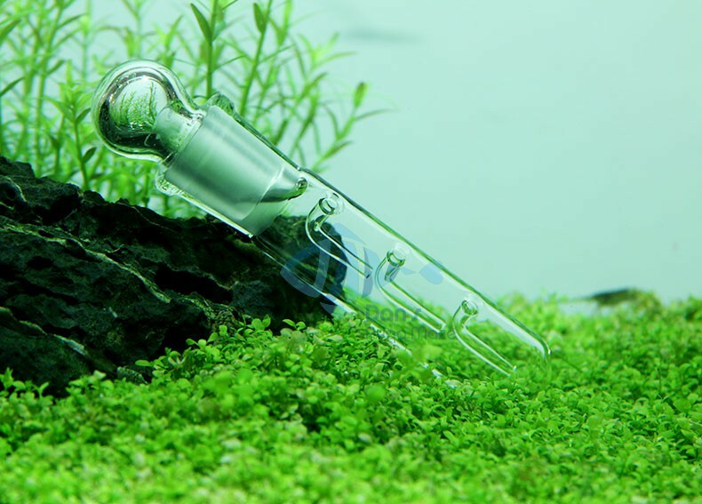 Clear Glass Planaria Trap Shrimp Fish Snail Safe Planaria Hydra Leach Traps