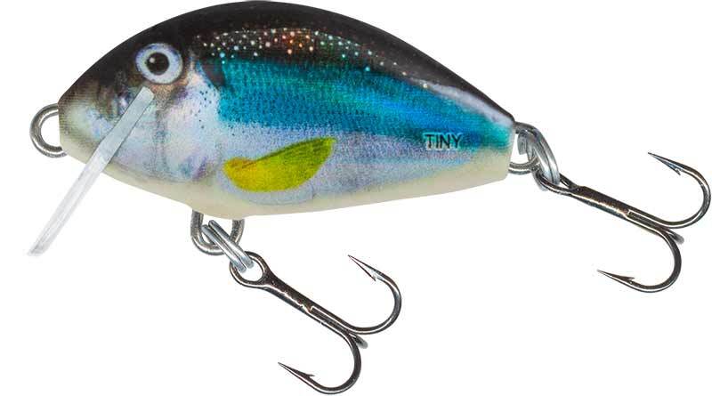 SALMO TINY Lure - 3cm - Floating  - Chub Perch Trout