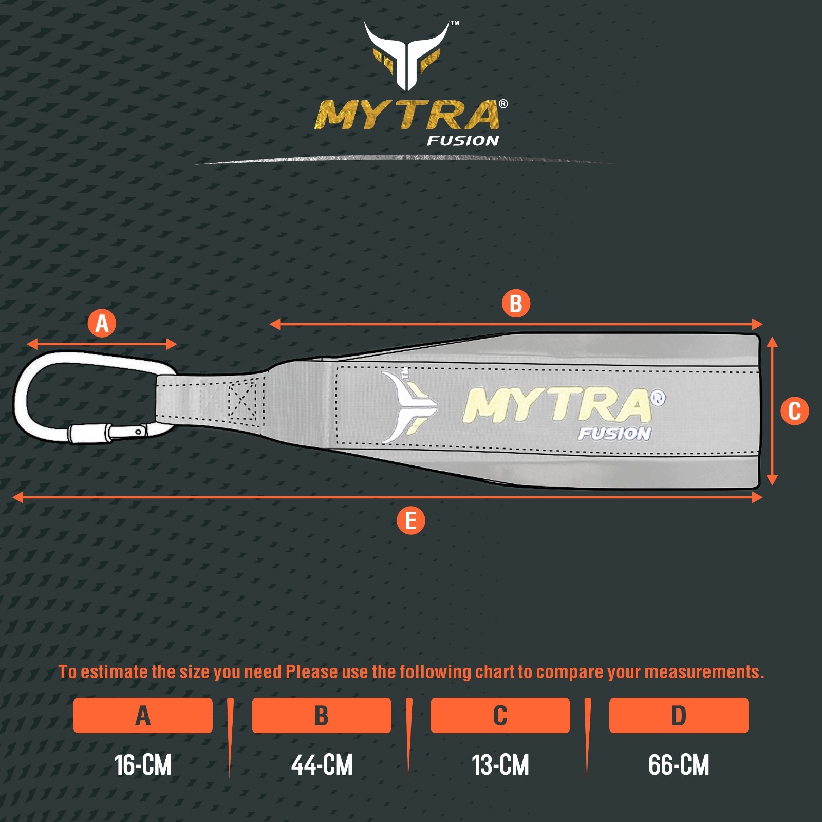 Mytra Fusion abb strap with hooks, hanging Pull Up Abs Strap pair