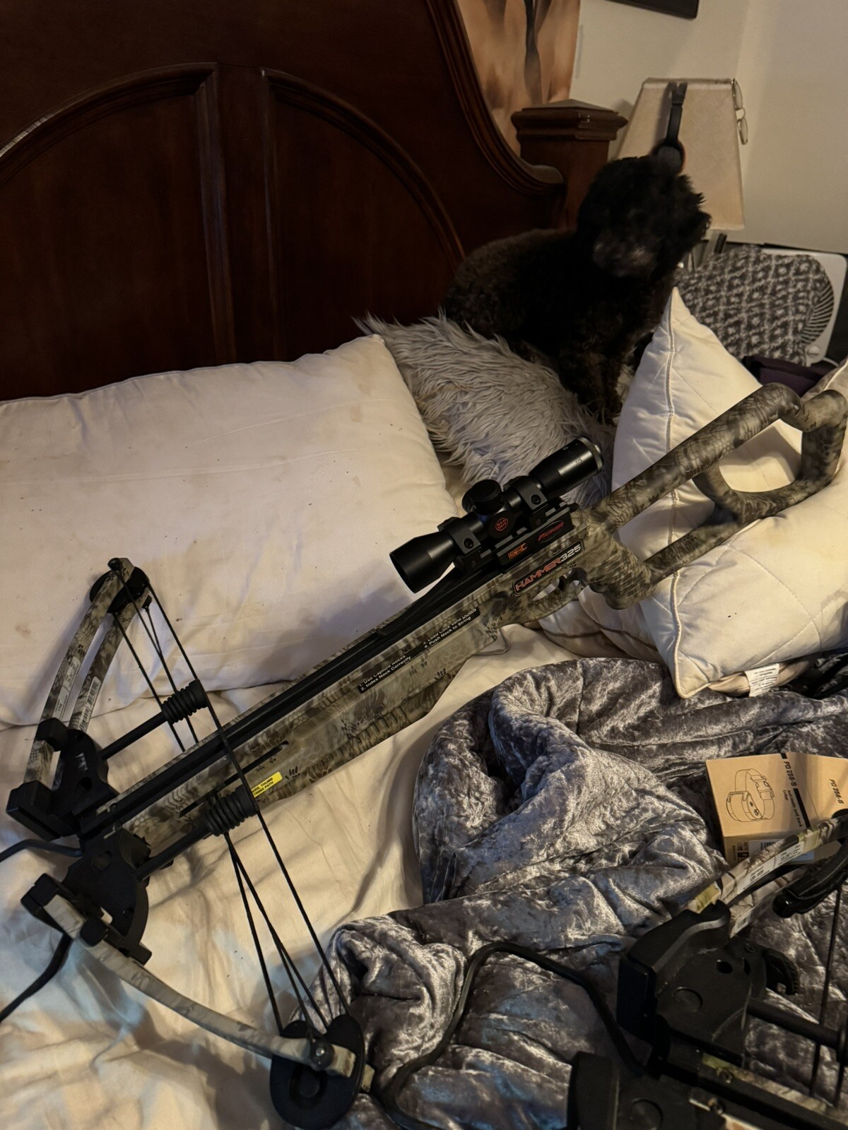 Crossbows