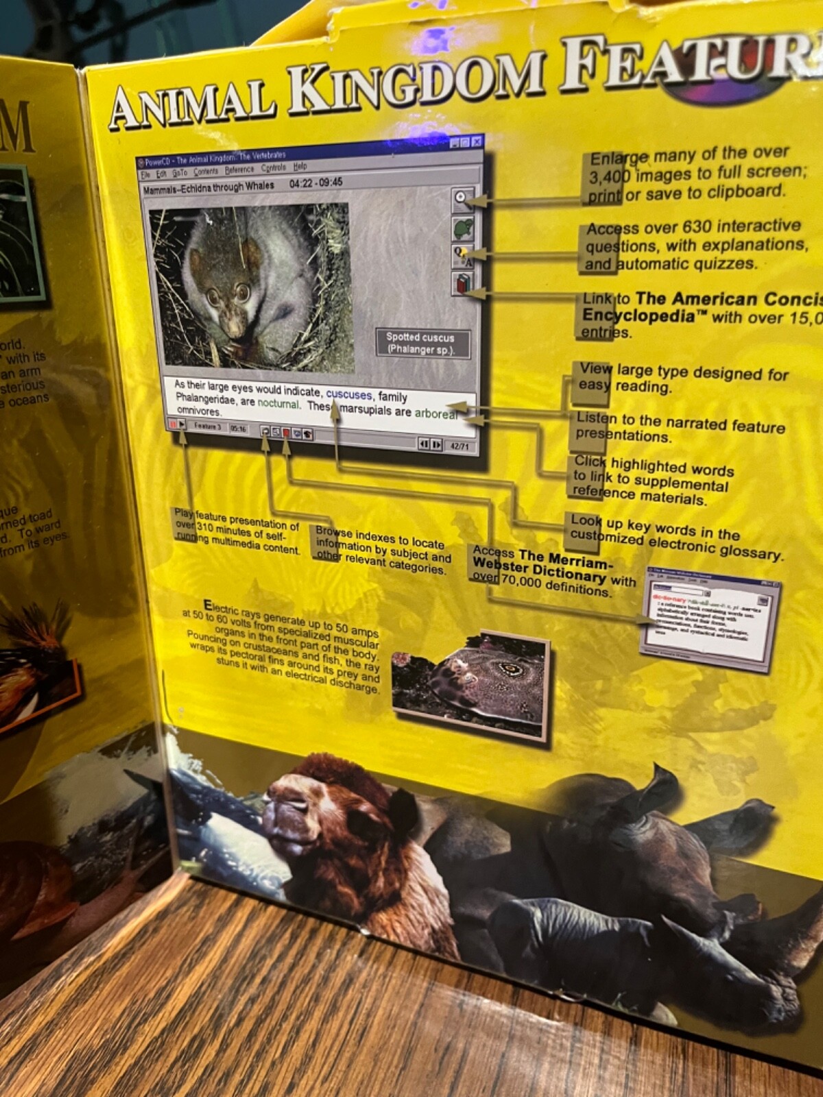 Win/mac Animal Kingdom- 8 cd Roms