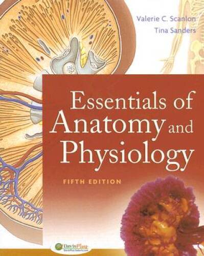 Essentials of Anatomy and Physiology - Paperback By Scanlon, Valerie C - GOOD