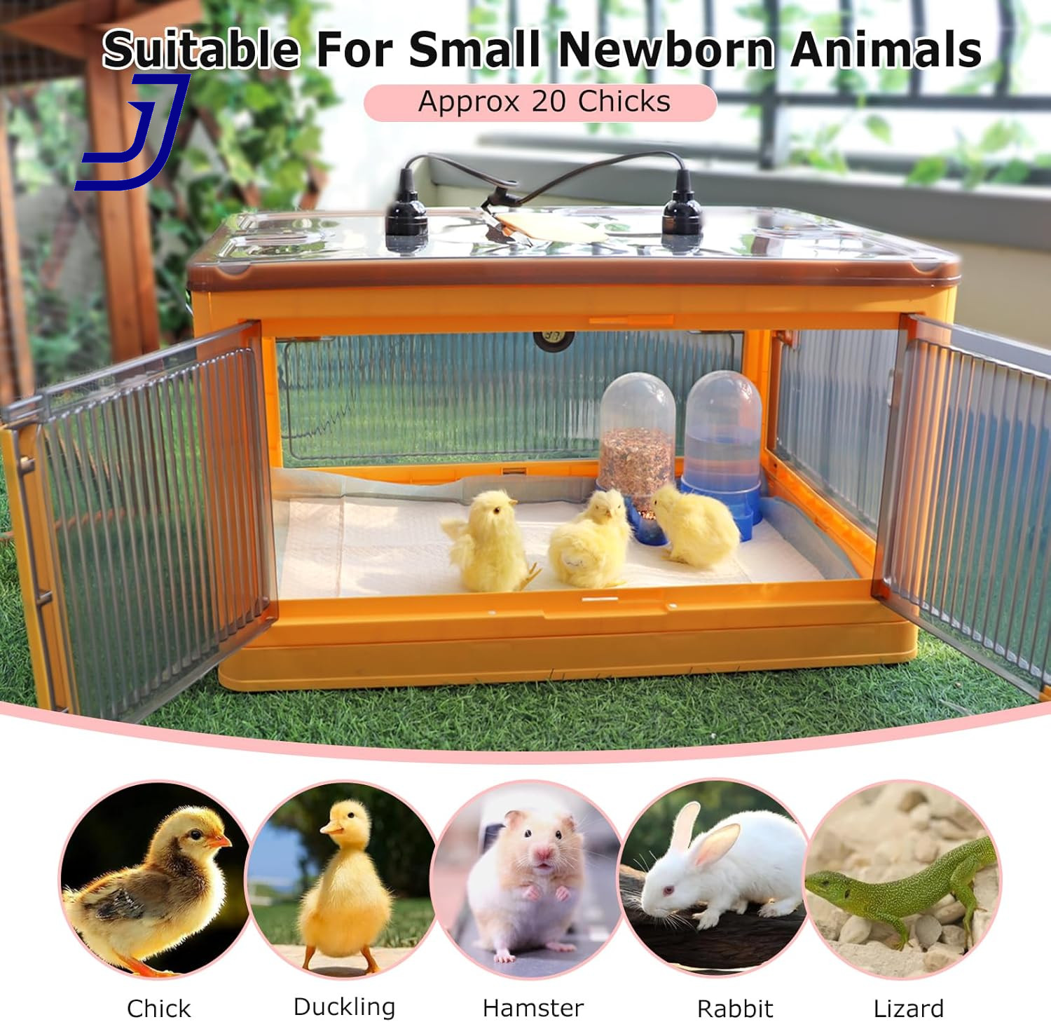Chicken Brooder Box for Chicks Brooder Heater Chicks w/ Thermometer for 20 Ducks