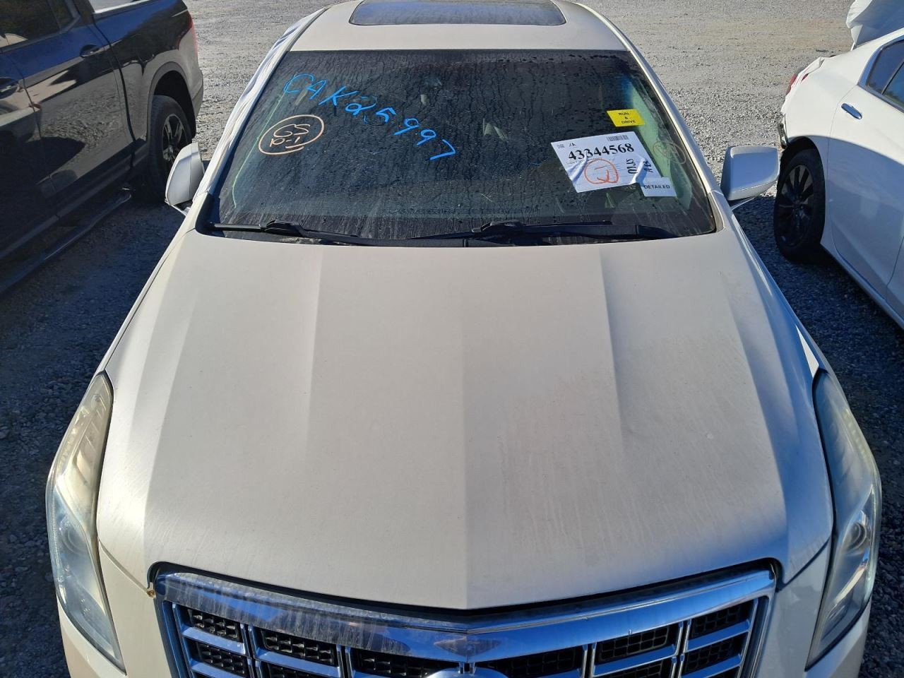 XTS 2013 Glove Box 4866356